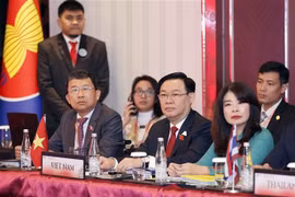 越南国会主席王廷惠出席AIPA执行委员会会议 