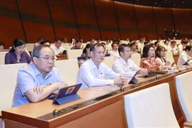 第十五届国会第五次会议：为国家目标计划落地扫清障碍