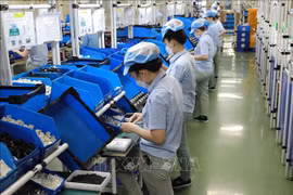 越南与新加坡建交50周年：新加坡工商界高度评价与越南合作潜力