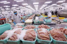 越南水产品出口今年最后几个月的乐观信号