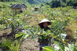 “以人民为中心”—越南国家减贫计划取得成功的钥匙