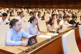 越南第十五届国会第五次会议：监督新冠肺炎疫情预防和控制资源的动员管理和使用