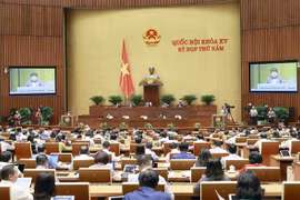 第十五届国会第五次会议：对疫情防控调动、管理和使用资源工作提出意见建议