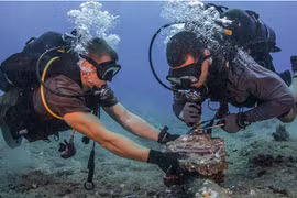 越南与国际互联网连接的5条海底光缆中的4条已完成修复 互联网质量大幅改善