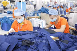 越南加快纺织品和服装出口力度