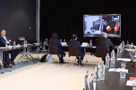 经济外交：向比利时企业推广平定省投资潜力