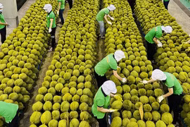2023年越南农产品出口前景广阔
