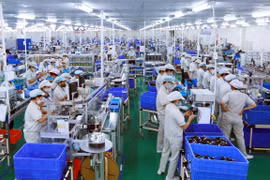 国际企业扩大在越投资规模 迎接疫后复苏新机遇