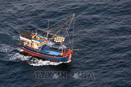 解除IUU“黄牌”警告：打击IUU捕捞活动刻不容缓