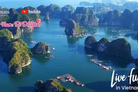 越南旅游业主动实施数字化转型以把握发展趋势