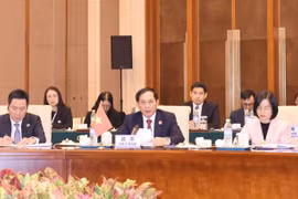 越南外交部长裴青山出席澜沧江—湄公河合作第八次外长会