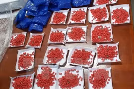  2名老挝籍毒贩从老挝向越南运输毒品被抓