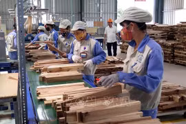 越南大力开展木材贸促活动 