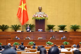 越南第十五届国会第二次特别会议：讨论国家总体规划