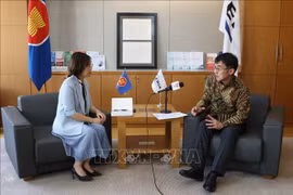 日本专家：越南及东盟与日本之间的合作潜力巨大