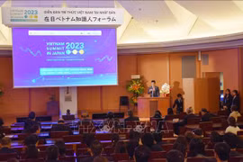 越日建交50周年：在日越南知识界携手走向未来