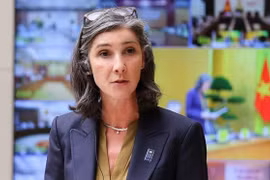 联合国开发计划署承诺支持越南绿色能源转型 