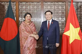 越南国会主席王廷惠与孟加拉国国民议会议长乔杜里举行会谈