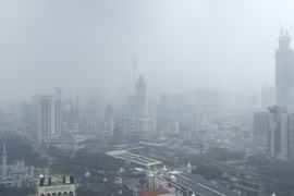 东南亚国家合作抗击雾霾污染
