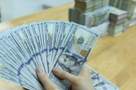 越南国家银行：外币贷款利率支持可能对国内汇率构成压力