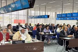 越南在各国议会秘书长协会会议上提出性别平等解决方案