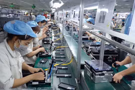 2023年前8月越南新设企业数量创历史同期新高