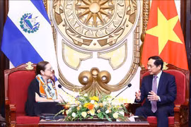 越南外交部部长裴青山与萨尔瓦多外交部部长希尔举行会谈