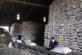 越南大米价格上涨至两年来最高水平