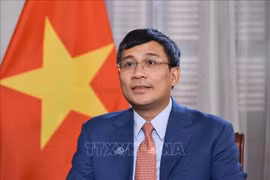 越南外交部常务副部长阮明羽：范明政访华之旅将助推越中关系取得新的更大发展