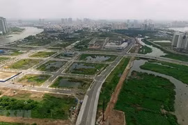 越南征求海外越南人社群对《土地法（修正案）》草案的意见