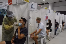 新加坡住院的新冠肺炎确诊人数急剧增加