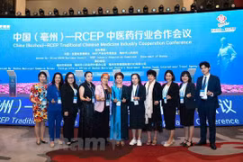 越南出席中国—RCEP中医药行业合作会议 