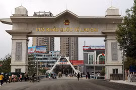经老街口岸出口的榴莲大幅增加