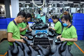 致力于减排的外国FDI项目正争相进入平阳省
