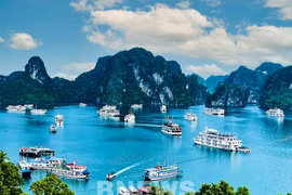 韩国忠清地区正考虑开通直飞越南下龙湾的航班