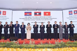 越南国会主席王廷惠出席第一届柬老越三国国会高层会议开幕式并发表讲话
