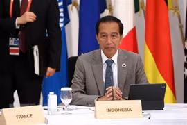 印度尼西亚提议按照欧佩克模式建立一个镍输出国组织