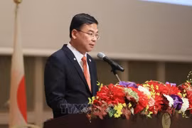 越南驻日本大使范光校：越南与日本升级双边关系为促进东盟与日本关系作出积极贡献
