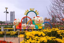  岘港市春节气氛浓起来