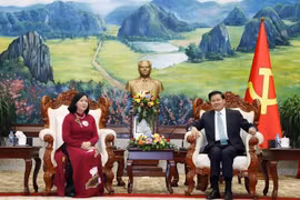 越南共产党高级代表团对老挝进行工作访问