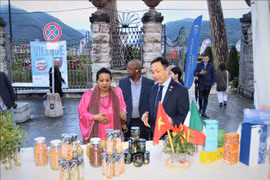 越意建交50周年：两国农业合作潜力巨大