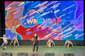 越澳建交50周年：“走到一起”音乐晚会在胡志明市举行