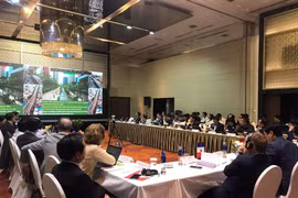 越南：加强城市对气候变化影响的应变与恢复能力
