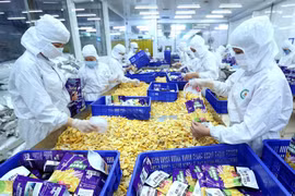 让越南商品在国际市场上亮剑