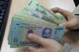 2019年越南银行业努力将广义货币增长率提升为14％ 