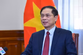 越南外交部长：海外越南人侨务工作是越南党和国家外交政策支柱