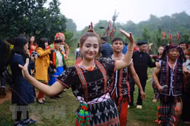 2019己亥年“越南各地春色”活动在河内举行（组图）