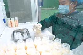  越南扩大生育津贴政策 为儿童创造良好的营养开端