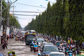 潮汐袭击芹苴市和胡志明市 导致多地淹水（组图）