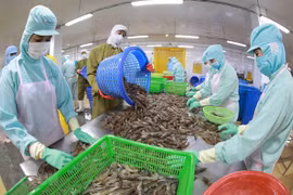  主要出口商品出口额下滑 第二季度越南农产品出口活动是否会见有起色？